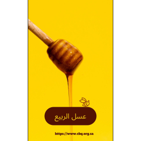 عسل الربيع 250 جرام