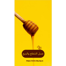 شفلح و ربيع 500 جرام 